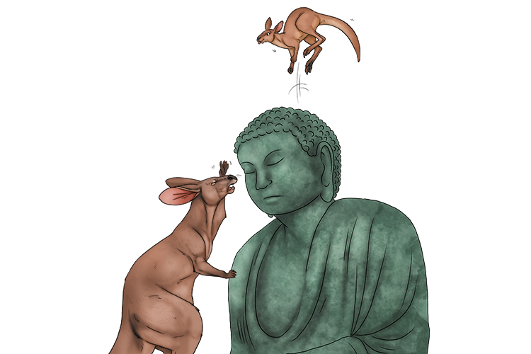 A large statue of Buddha had a baby kangaroo bouncing on its head. Pa (Buddha rupa) was shouting at her to get down off the statue.